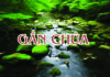 Gần Chúa