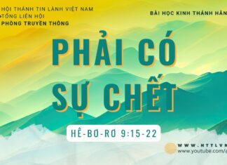 Phải Có Sự Chết – 15/8/2023