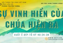 Sự Vinh Hiển Của Chúa Hiện Ra – 23/8/2023