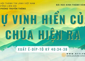 Sự Vinh Hiển Của Chúa Hiện Ra – 23/8/2023
