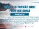 Mâo Klei Mprăp Brei Pioh Mă Bruă – 1/9/2023