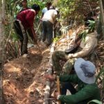 z4625263886019_19b6474e8bd36e7ef324467cc4a445ef