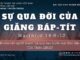 Sự Qua Đời Của Giăng Báp-tít – 23/9/2023