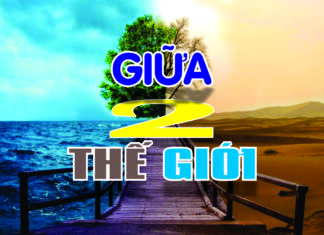 GIỮA HAI THẾ GIỚI