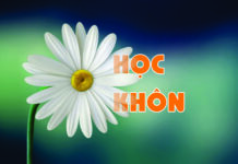Học Khôn