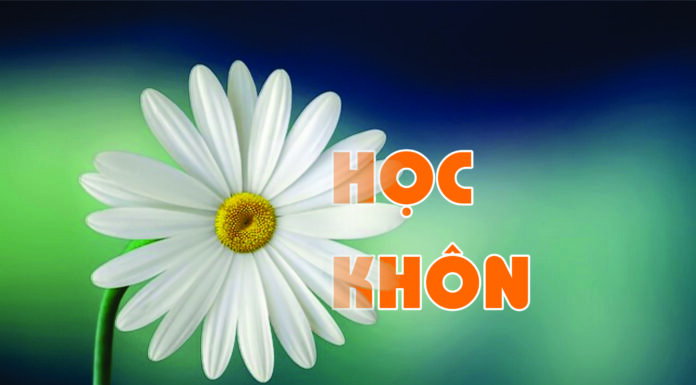 Học Khôn