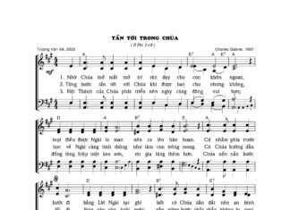 Bài hát Cảm tạ: TẤN TỚI TRONG CHÚA