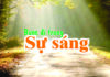 Bước Đi Trong Sự Sáng