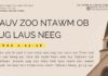 Qauv Zoo Ntawm Ob Tug Laus Neeg – 1/11/2023