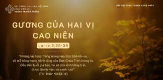 Gương Của Hai Vị Cao Niên – 1/11/2023