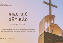 Gieo Gió Gặt Bão – 10/10/2023