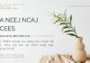 Ua Neej Ncaj Ncees – 15/10/2023