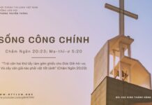 Sống Công Chính – 15/10/2023