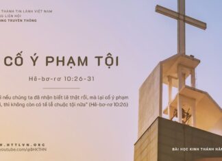 Cố Ý Phạm Tội – 16/10/2023