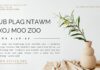 Lub Plag Ntawm Txoj Moo Zoo – 19/10/2023