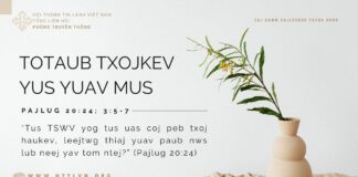 Totaub Txojkev Yus Yuav Mus – 22/10/2023