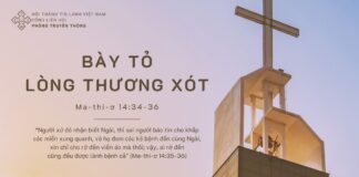 Bày Tỏ Lòng Thương Xót – 25/10/2023