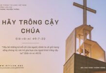 Hãy Trông Cậy Chúa – 26/10/2023