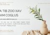 Ua Tib Zoo Xav Mam Coglus – 29/10/2023
