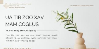 Ua Tib Zoo Xav Mam Coglus – 29/10/2023