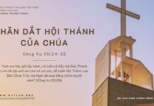 Chăn Dắt Hội Thánh Của Chúa – 4/10/2023