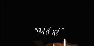 “MỔ XẺ”