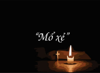 “MỔ XẺ”