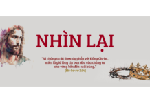 Thơ: NHÌN LẠI
