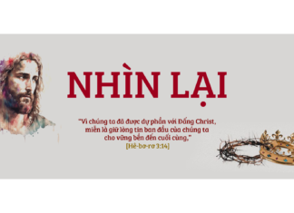Thơ: NHÌN LẠI
