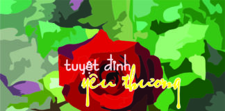 TUYỆT ĐỈNH YÊU THƯƠNG