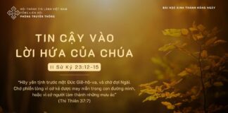 Tin Cậy Vào Lời Hứa Của Chúa – 11/11/2023