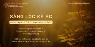 Sàng Lọc Kẻ Ác – 12/11/2023