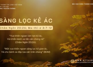 Sàng Lọc Kẻ Ác – 12/11/2023