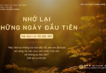 Nhớ Lại Những Ngày Đầu Tiên – 13/11/2023
