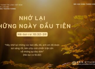 Nhớ Lại Những Ngày Đầu Tiên – 13/11/2023