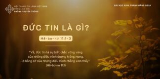 Đức Tin Là Gì? – 15/11/2023
