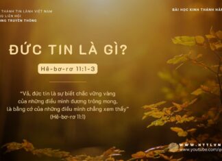 Đức Tin Là Gì? – 15/11/2023
