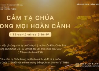 Cảm Tạ Chúa Trong Mọi Hoàn Cảnh – 23/11/2023