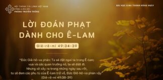 Lời Đoán Phạt Dành Cho Ê-lam – 27/11/2023