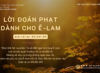 Lời Đoán Phạt Dành Cho Ê-lam – 27/11/2023