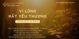 Vì Lòng Rất Yêu Thương – 29/11/2023