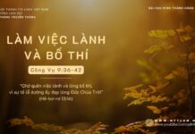 Làm Việc Lành Và Bố Thí – 4/11/2023
