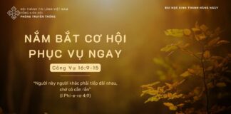 Nắm Bắt Cơ Hội Phục Vụ Ngay – 5/11/2023