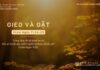 Gieo Và Gặt – 7/11/2023
