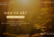 Gieo Và Gặt – 7/11/2023