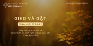Gieo Và Gặt – 7/11/2023