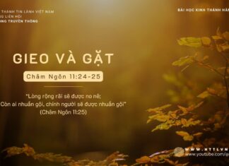 Gieo Và Gặt – 7/11/2023