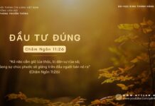 Đầu Tư Đúng – 8/11/2023