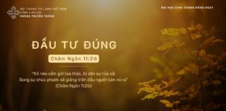 Đầu Tư Đúng – 8/11/2023