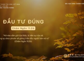 Đầu Tư Đúng – 8/11/2023
